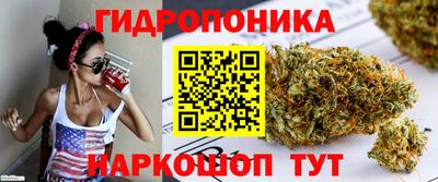 стаф Партизанск