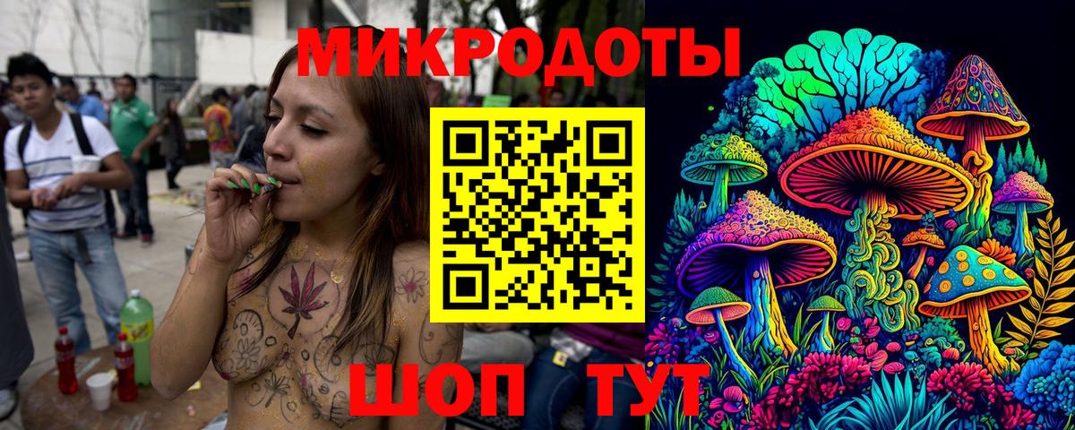 Псилоцибиновые грибы Cubensis Приморско-Ахтарск