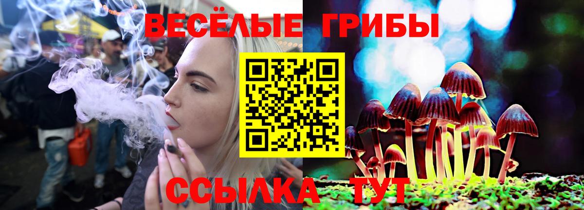 Приморско-Ахтарск  Псилоцибиновые грибы MAGIC MUSHROOMS  Галлюциногенные грибы Psilocybine cubensis  Вход с VPN 