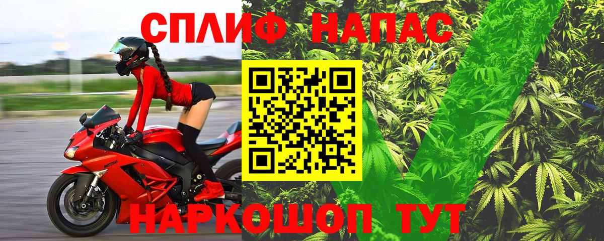 Конопля сатива Приморско-Ахтарск